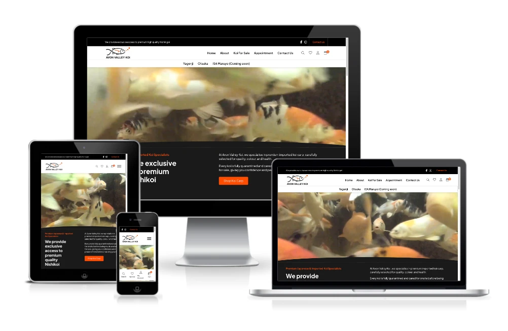 A website displaying koi fish is shown on a desktop, laptop, tablet, and smartphone, demonstrating a responsive design across multiple devices.